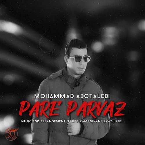 دانلود آهنگ محمد ابوطالبی به نام پر پرواز