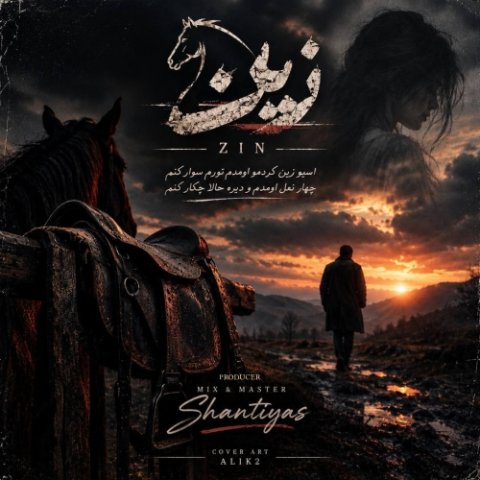 سینا پارسیان زین (دلی)